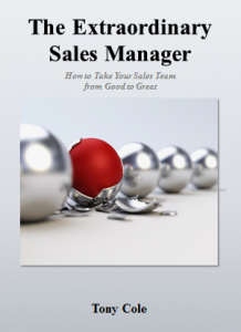 ebook The Extraordinary Sales manager